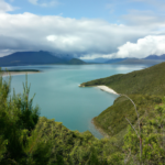 군산 지역 업종 위치 확인 시 참고하는 기본 정보 - 군산 지역 업종 위치 확인을 위한 필수 정보 안내