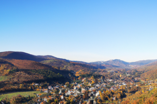 충청도달리기에서 추천 업체를 찾을 때 참고하는 지역별 업종 비교 기준 - 충청도 달리기 추천 업체 선택을 위한 지역별 업종 비교 가이드
